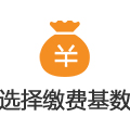 选择缴费基数